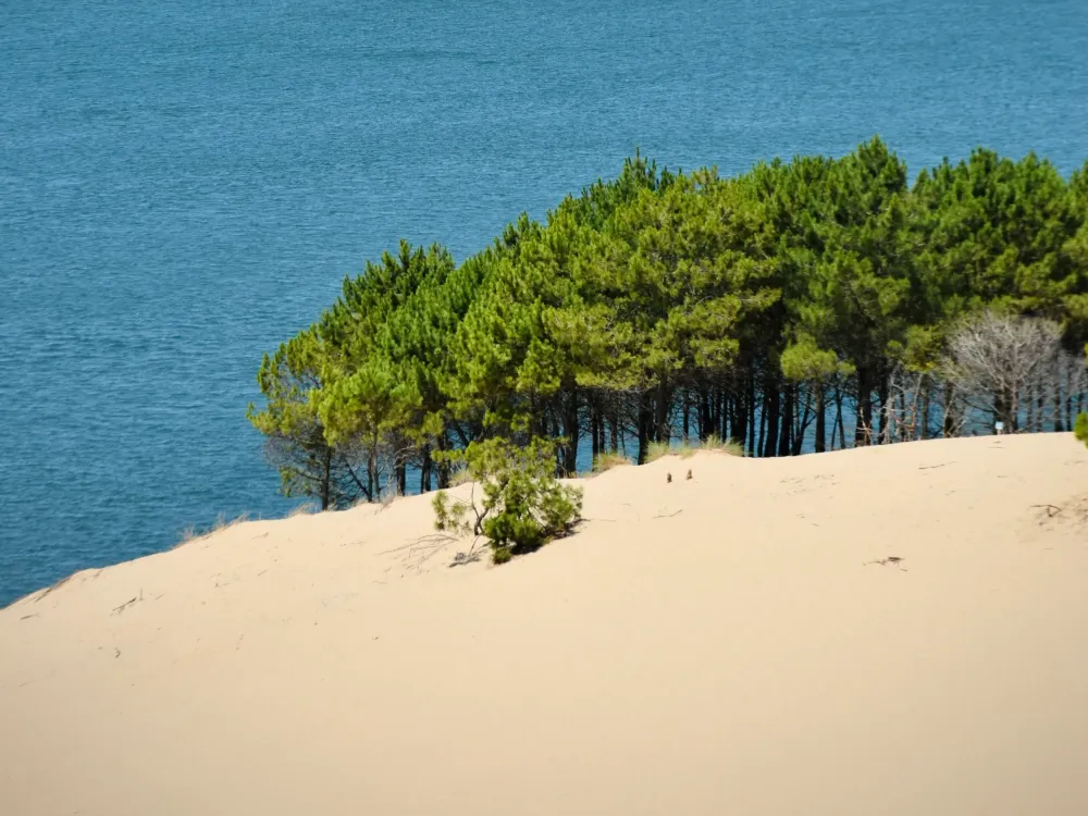 arcachon-2